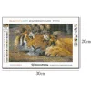 Sleeping Tiger | Full Round Diamond Painting Kits