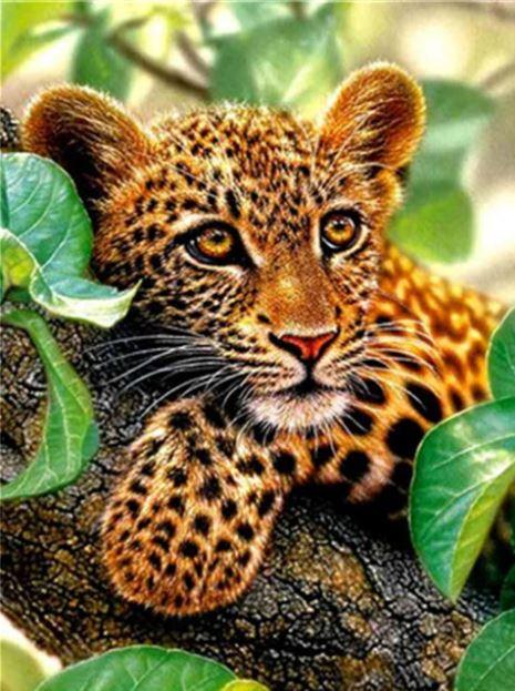 

Leopard in Tree – Paint By Numbers - 40*50CM, 501 Original