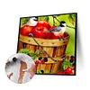uk.everydayedeals (Limited Stock)Paint By Number - Oil Painting -  Bird (40*40Cm)