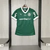 2025-2026 Women Palmeiras Home All Sponsors  Football Shirt 1:1 Thai Quality