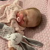 Babiesprincess Lifelike Reborn Baby Doll, Babiesprincess