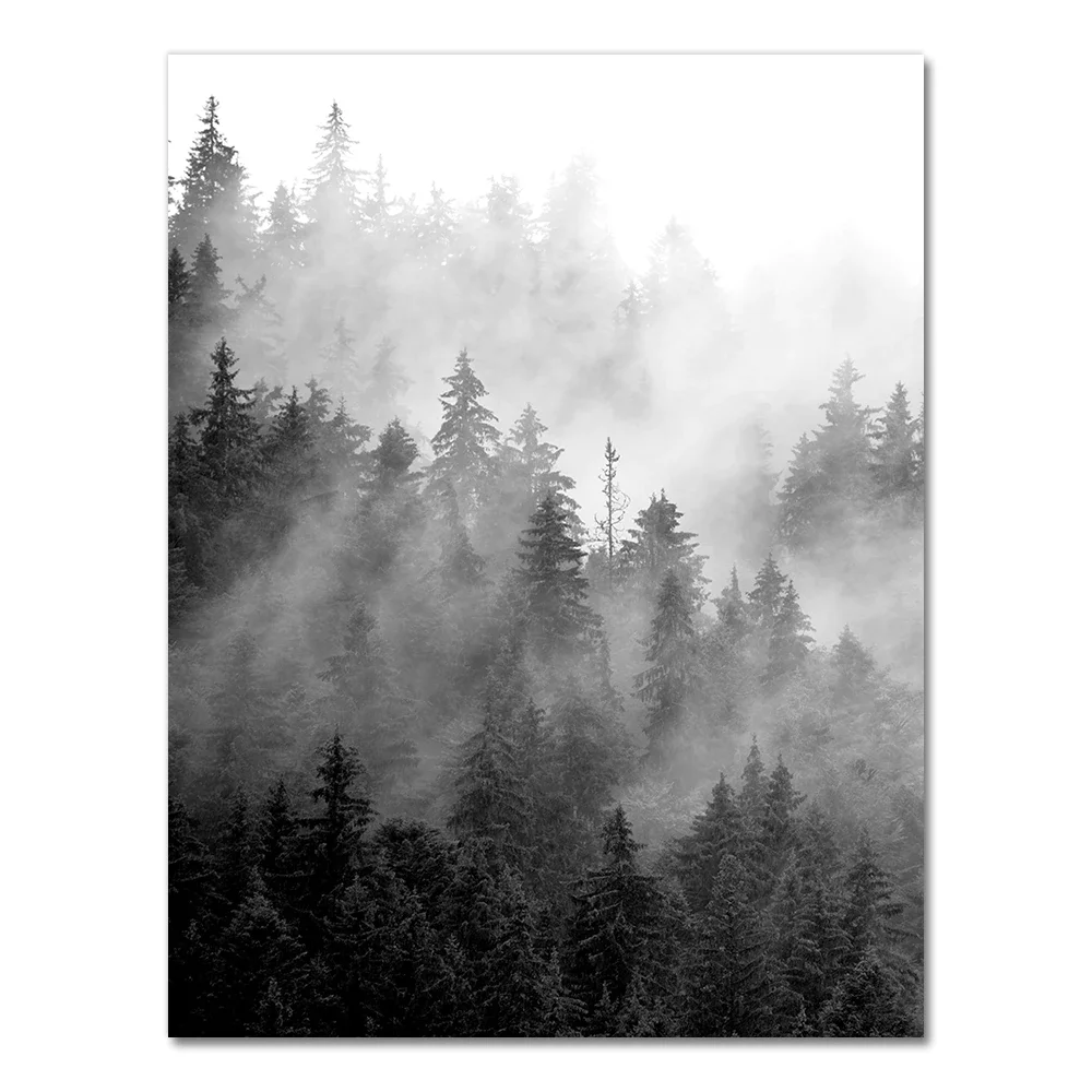 Nigikala Nature Prints Forest Wall Art Black and White Tree Posters