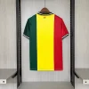 2026 Ghana Special Edition Soccer Jersey