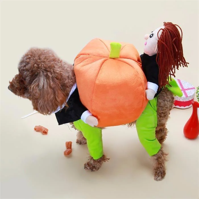 Dog Fashion Pumpkin Costume