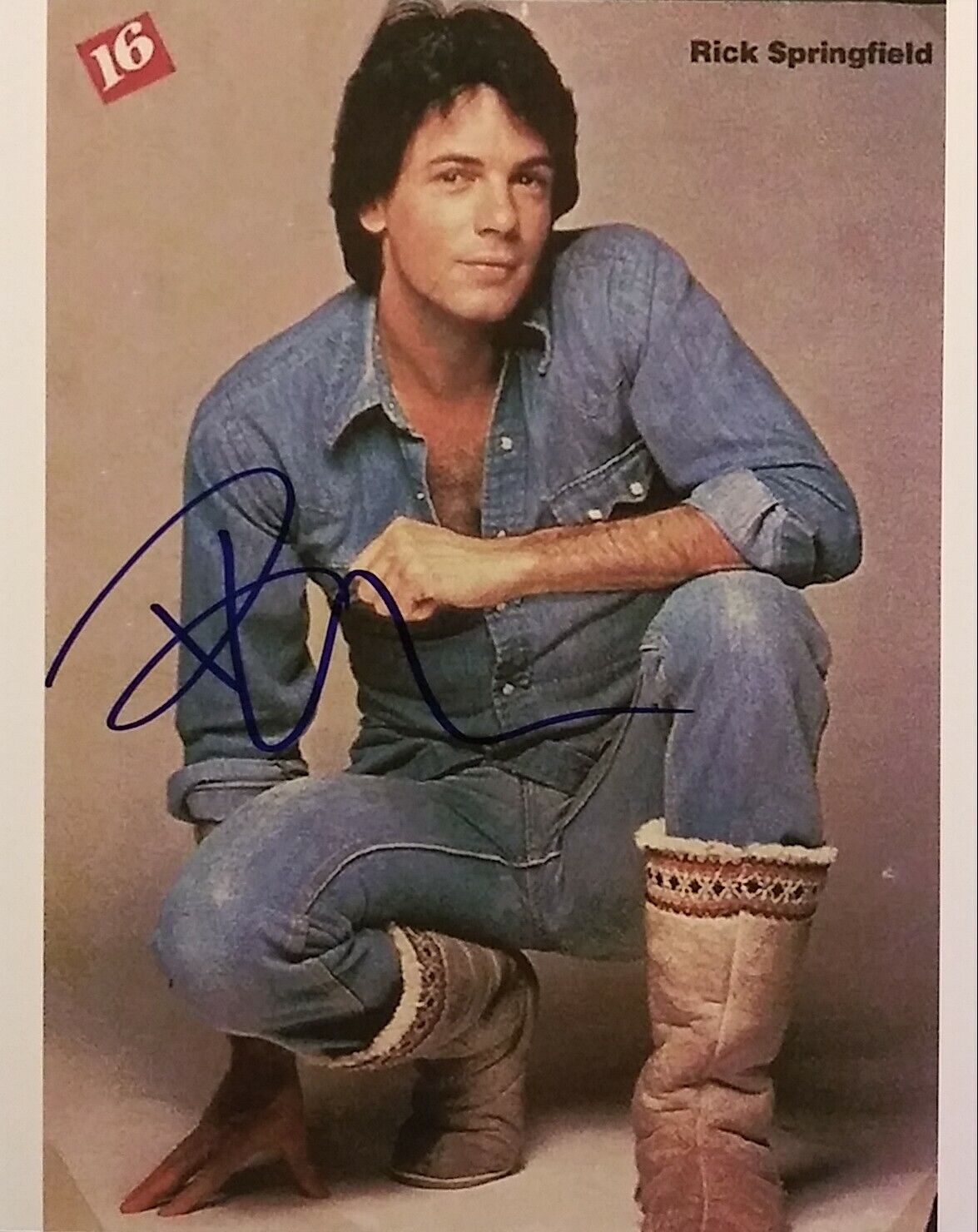 Rick Springfield signed 8 x 10