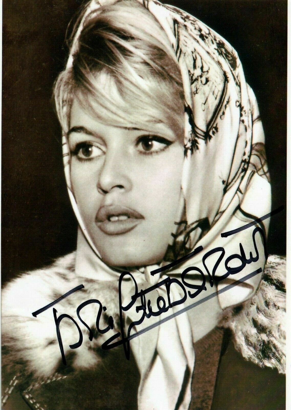 French SEX SYMBOL - BRIGITTE BARDOT Magnificent Early SIGNED Photo Poster painting