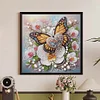 5D DIY Partial Special Shaped Drill Diamond Painting Kit Butterfly Decor 30x30cm (A)