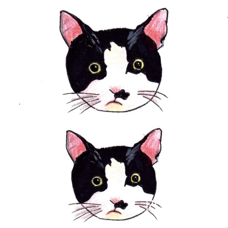 Waterproof Temporary Tattoo Sticker lovely cats cute cat owl tatto sexy flash tatoo fake tattoos for girl women kids