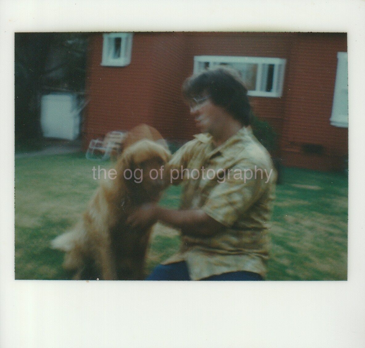 BLURRY FOUND Photo Poster paintingGRAPH ColorOriginal Snapshot VINTAGE Dog 811 6