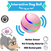 Interactive Dog Ball - Smart Toy for Pups