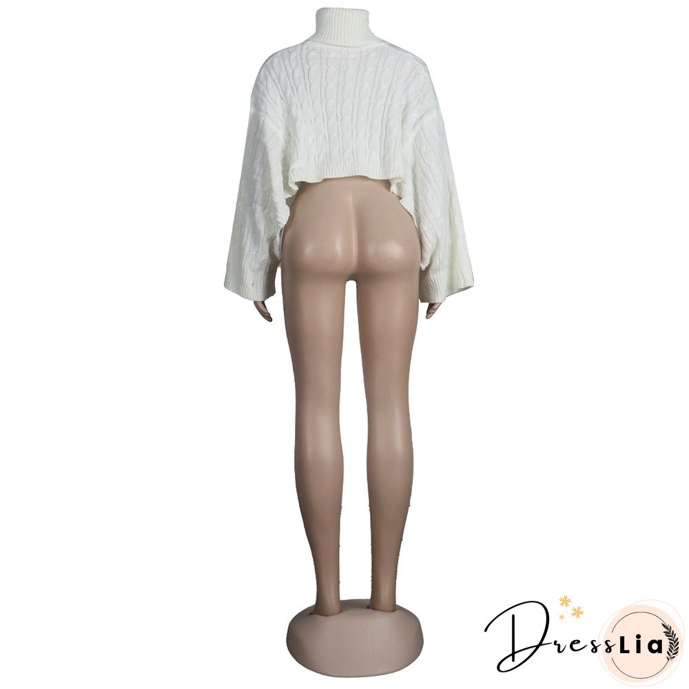 Solid Color Turtleneck Bat Sleeve Sweater Crop Top