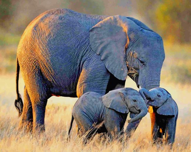 

African Elephants – Paint By Numbers - 40*50CM, 501 Original