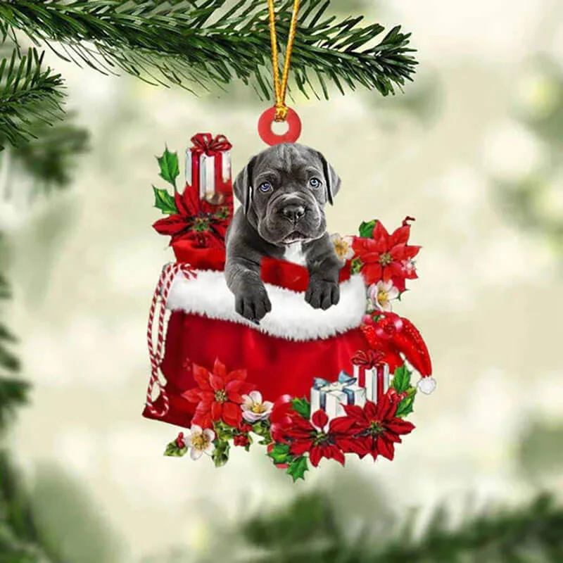 VigorDaily Cane Corso In Gift Bag Christmas Ornament GB031