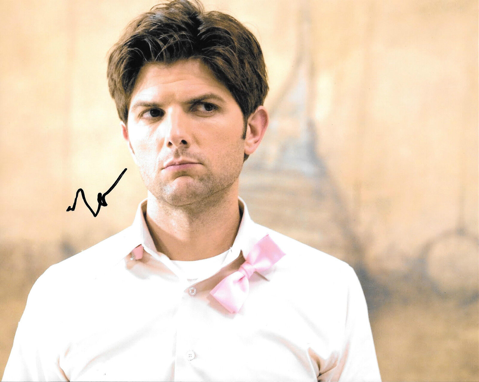 GFA Parks and Recreation * ADAM SCOTT * Signed 8x10 Photo Poster painting A7 COA