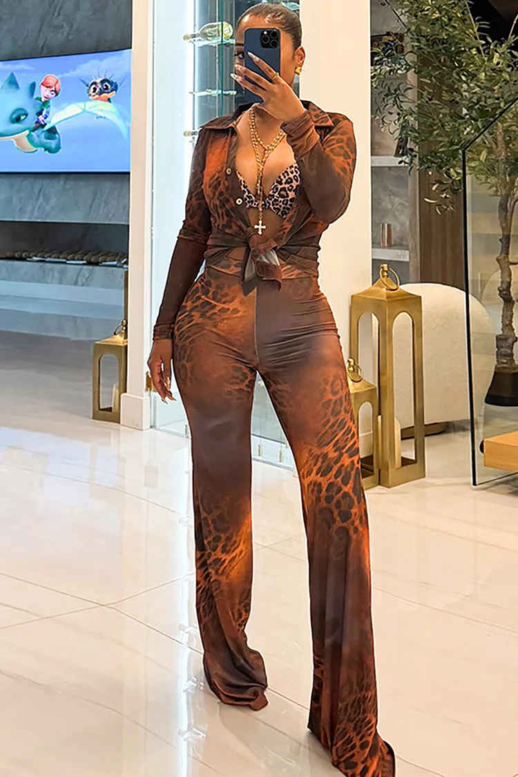 Leopard Print Mesh Long Sleeve Blouse Straight Leg Pants 2pcs Set-Brown