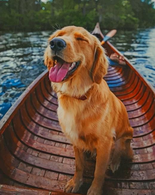 

Happy Puppy On A Boat – Paint By Numbers - 40*50CM, 501 Original