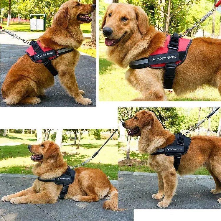 Reflective all-in-one No Pull Dog Harness | 168DEAL