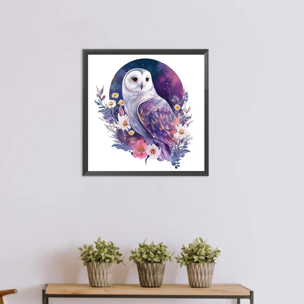 DIY Paint By Number 40*40cm - Owl