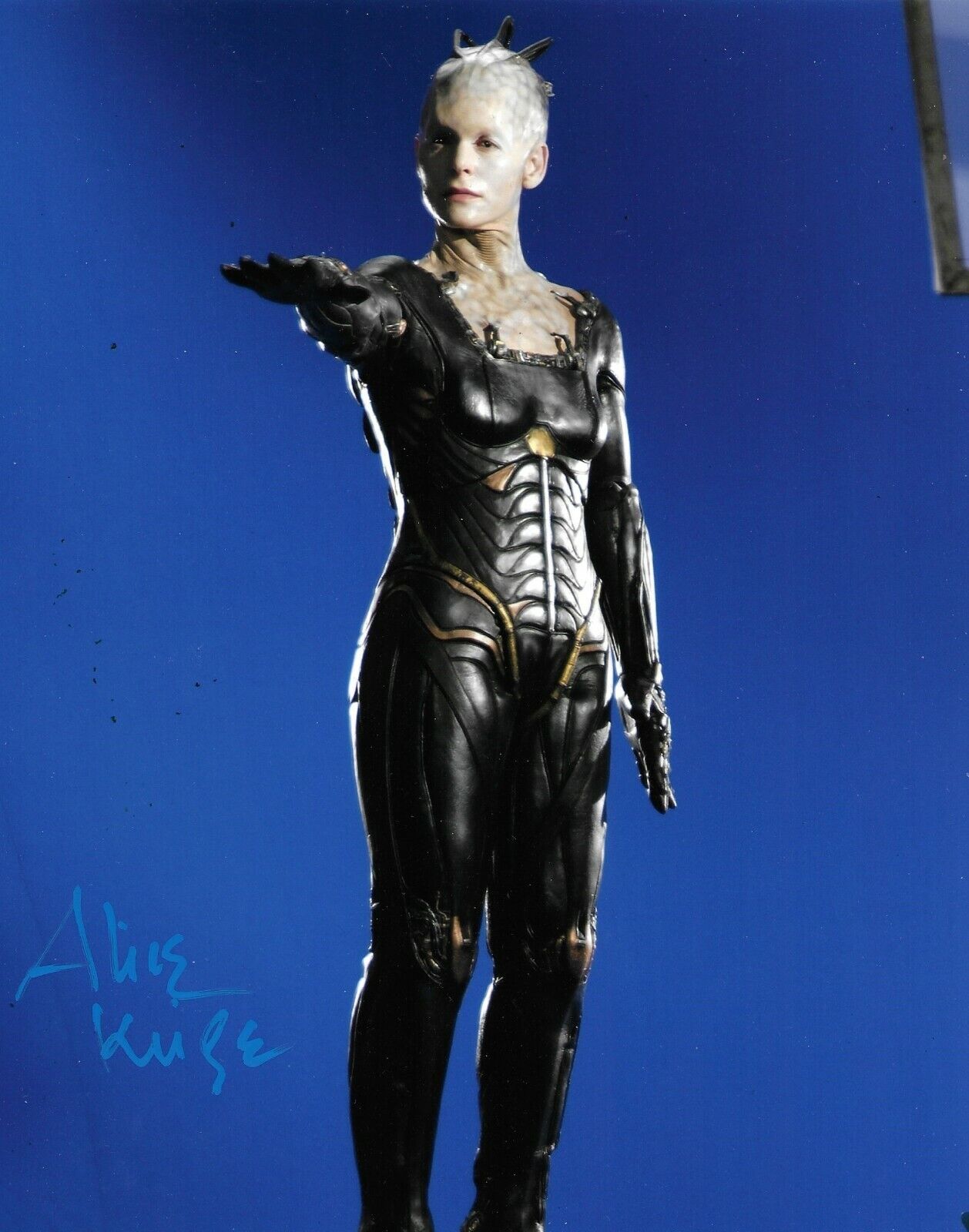 Alice Krige Signed Star Trek: First Contact 10x8 Photo Poster painting AFTAL