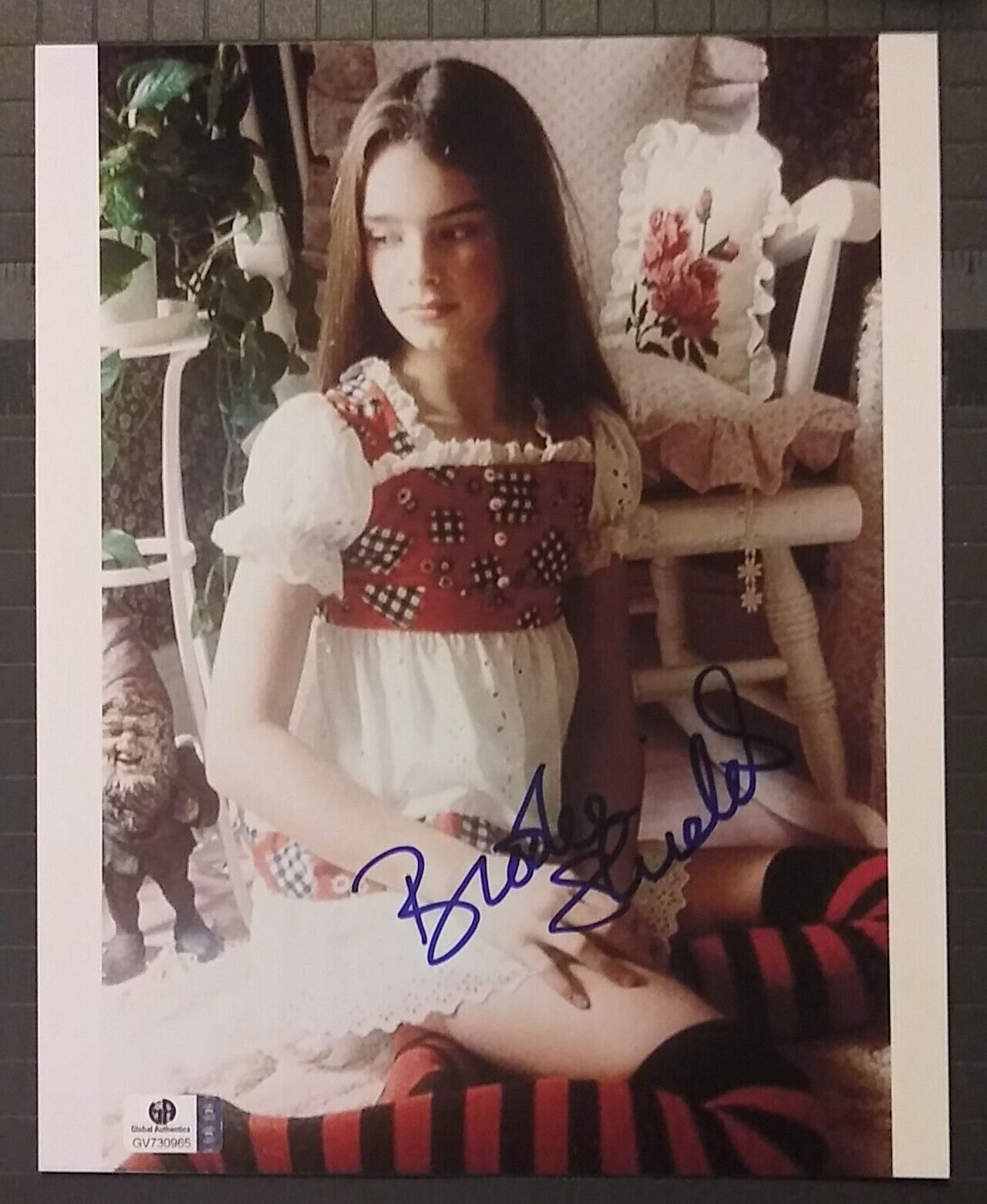 Brooke Shields signed 8x10 COA GAI