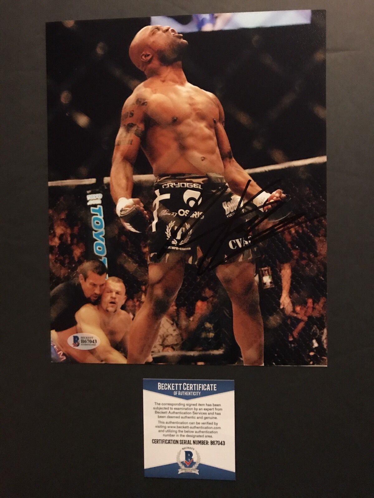 Quentin Jackson Hot! Signed UFC MMA Autographed 8x10 Photo Poster painting Beckett BAS Cert