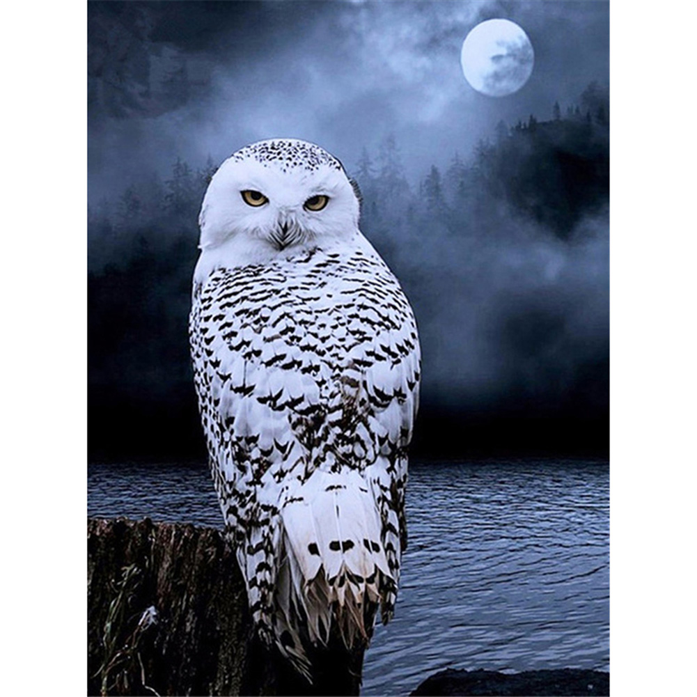 

Tree Owl - Square Drill Diamond Painting - 30*40CM, Square diamond 40*50cm, 501 Original