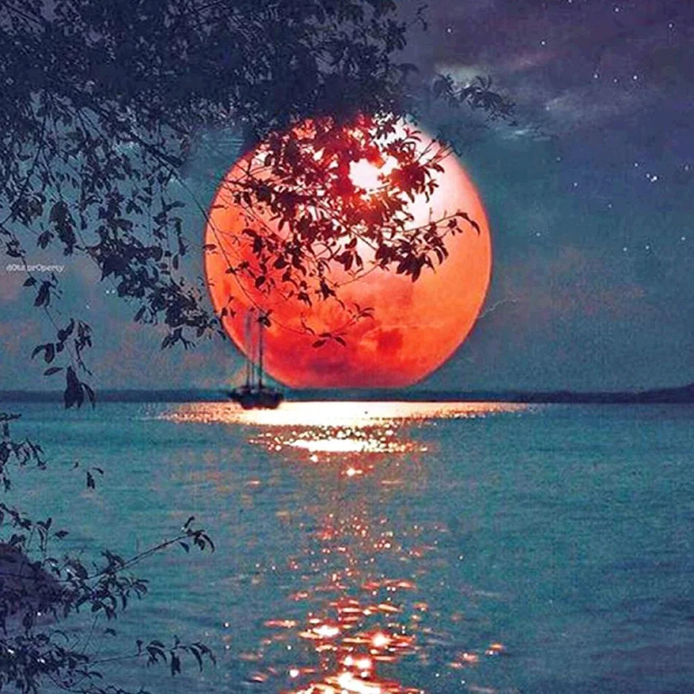 Diamond Painting - Full Round/Square Drill - Moon(30*30 - 50*50cm)