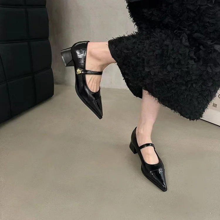 Yyvonne Small Leather Shoes Women 2025 New Spring Thick Heel Low Heel High Heels Retro French Temperament Mary Jane Single Shoes