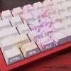 EVA主題側刻透光PBT鍵帽熱昇華工藝68鍵鍵帽61鍵鍵帽wooting