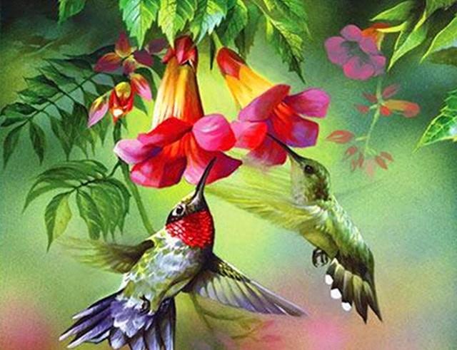 

Hummingbirds – Paint By Numbers - 40*50CM, 501 Original
