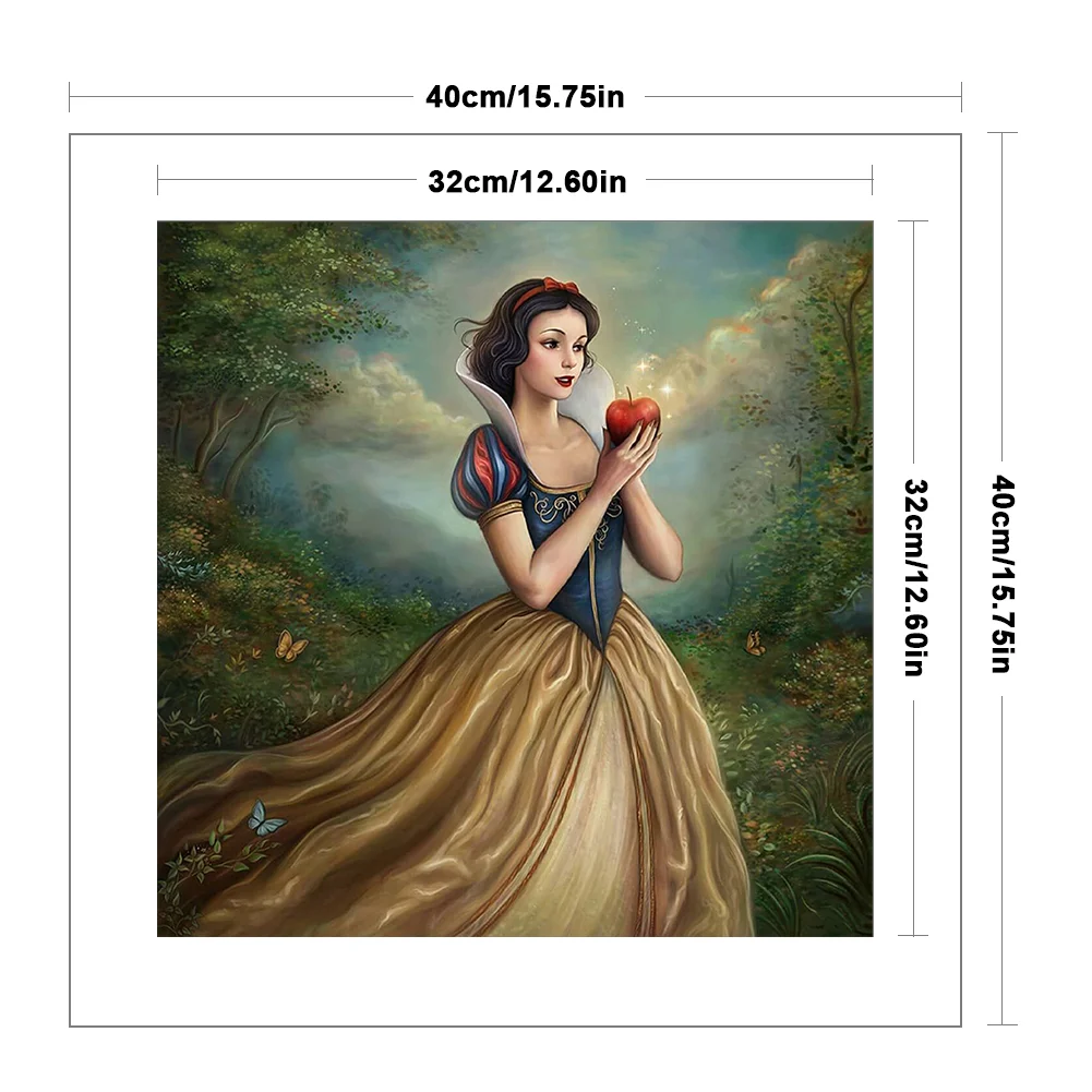 11CT Full Stamped Cross Stitch - Snow White(Canvas|40*40CM)