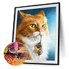 Diamond Painting -5D Full Round Drill Cat(50x40cm)