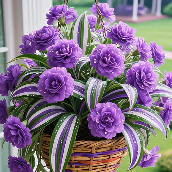 💐Four Seasons Ornamental Oil Painting Wedding Orchid Seeds&mdash;Dream, Hope and Eternity