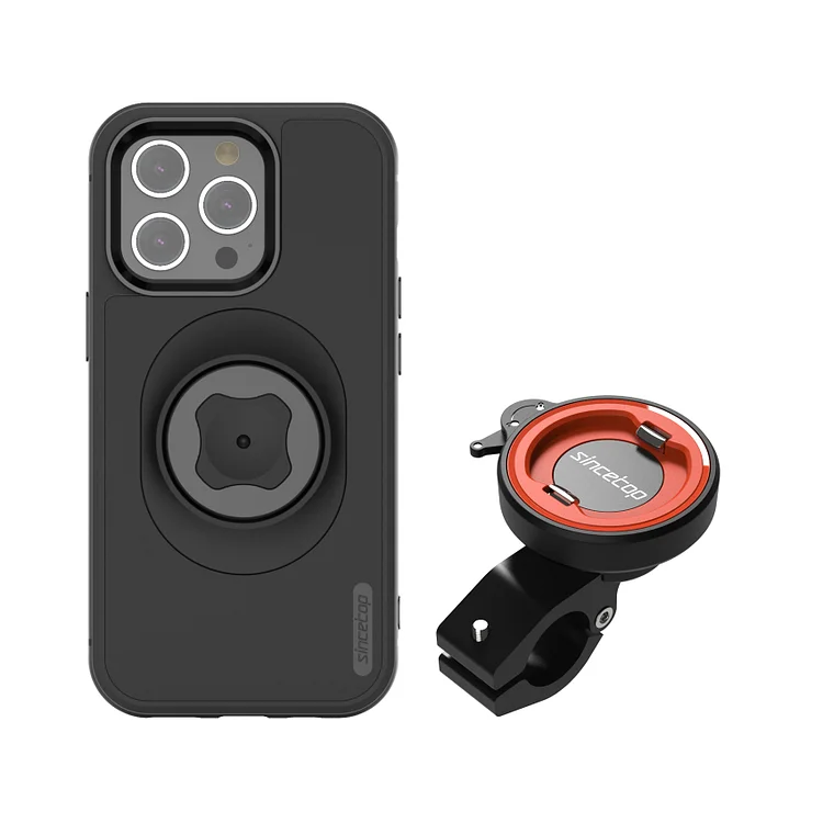Mirror Mount With Case
