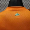 2024 Players Ivory Coast Soccer Jersey Home