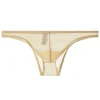 Men's Transparent Ultra-Thin Mesh Low-Waist Sexy Briefs