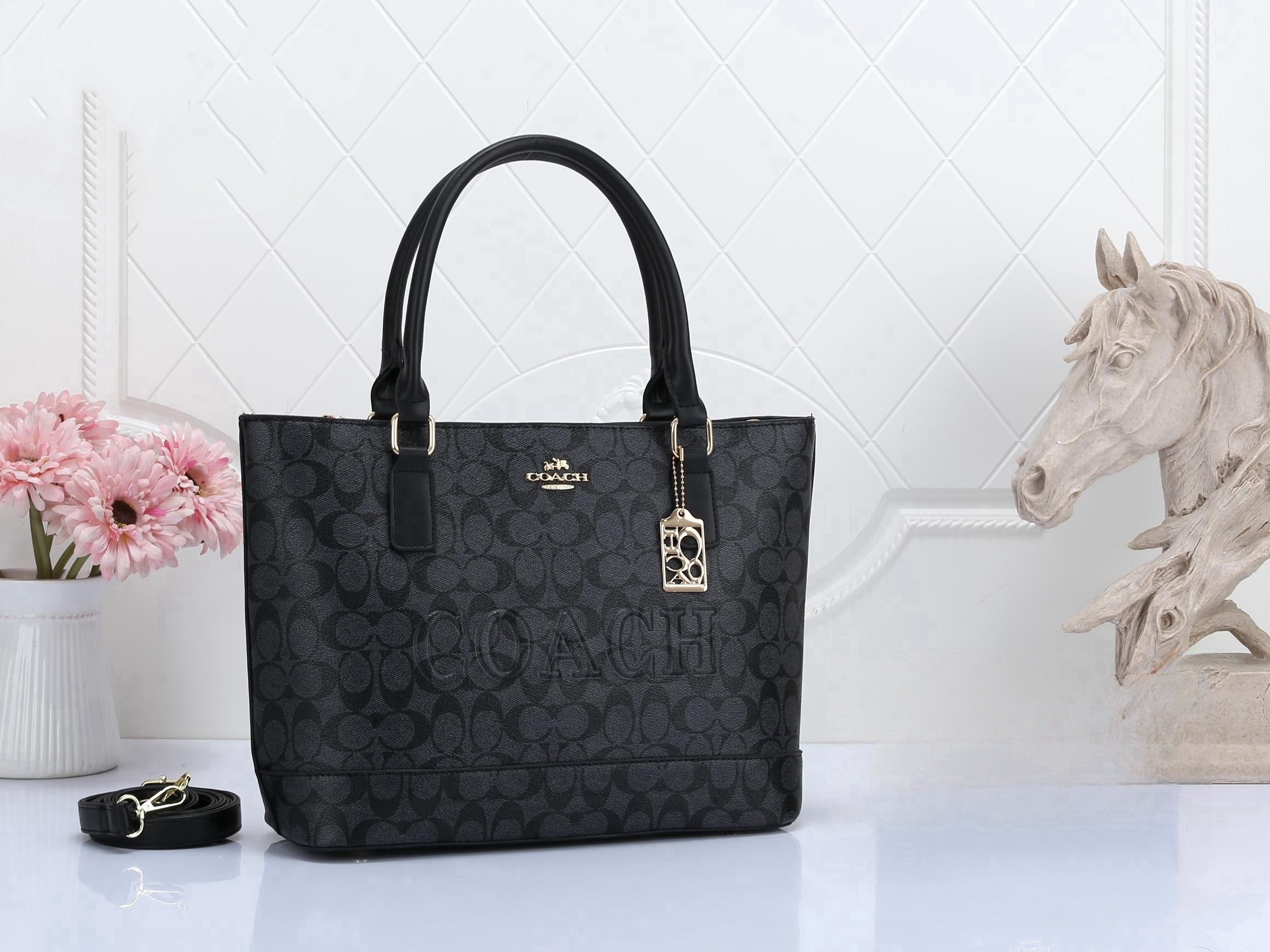 【🔥🔥🔥Big Sale】COACHclassic presbyopic bag