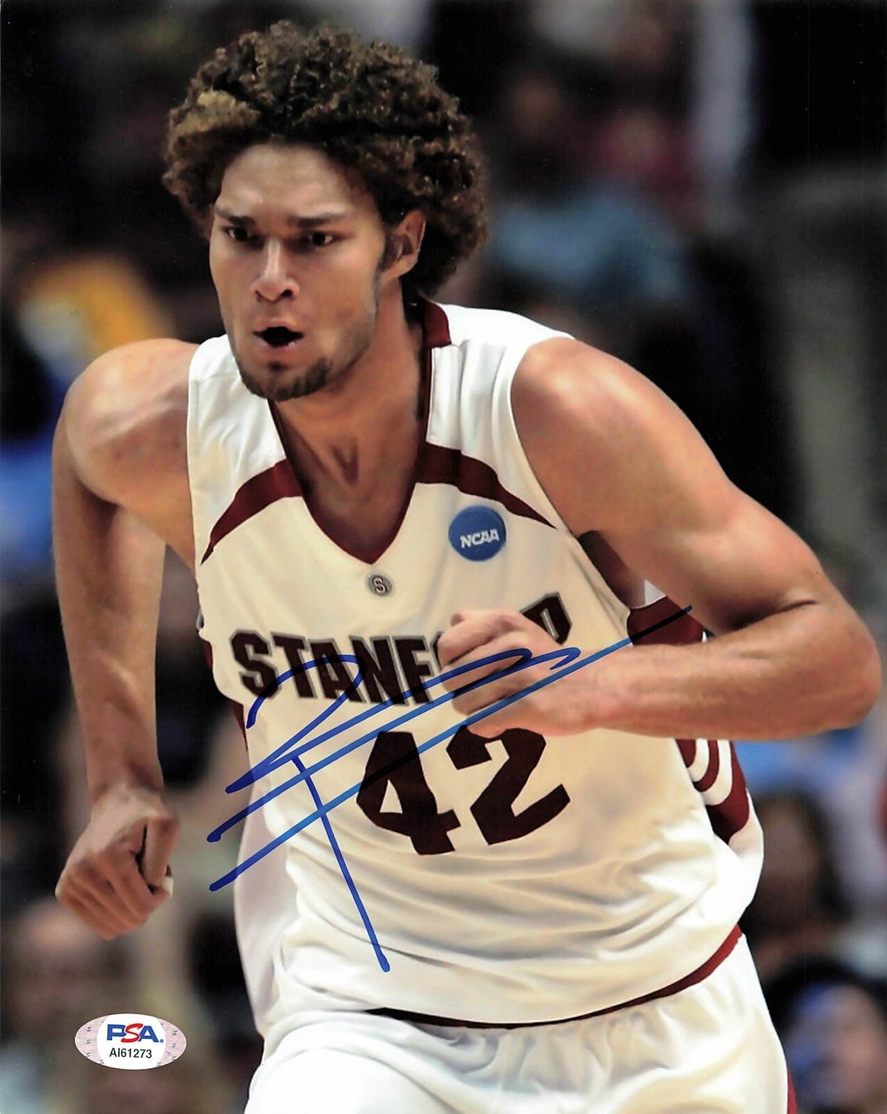 Robin Lopez signed 8x10 Photo Poster painting PSA/DNA Stanford University Autographed