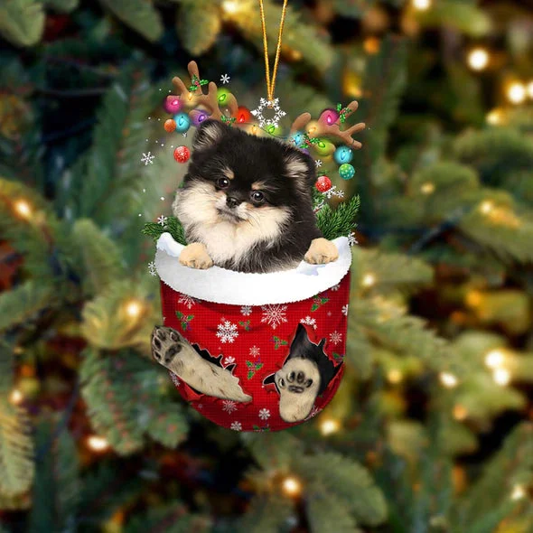 Pomeranian 4 In Snow Pocket Christmas Ornament.
