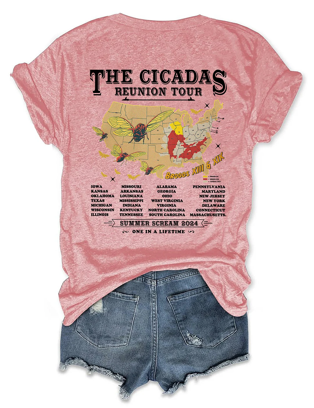 Cicadas Summer Scream Reunion Tour 2024 T-shirt