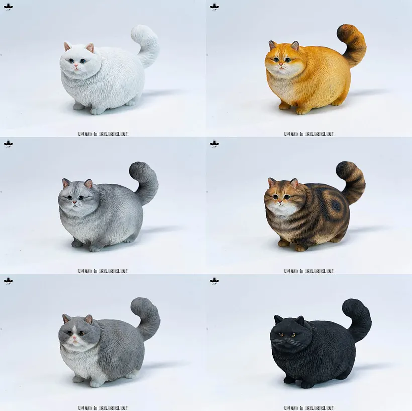 JXK-Chubby Kitty-JXK390A/B/C/D/E/F