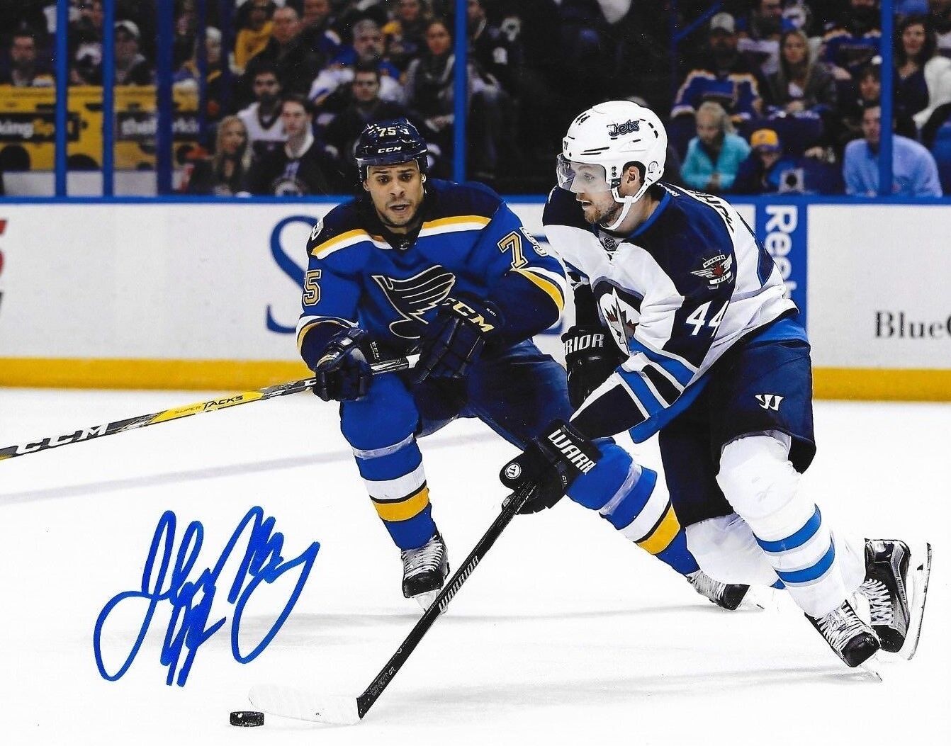 Josh Morrissey signed Winnipeg Jets 8x10 Photo Poster painting autographed