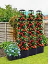 4 Tier Planter Stake Tower with Trellis Tomato Cage Self Watering Indoor Outdoor