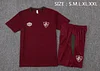 Fluminense 25/26 maroon red Short-Sleeve Training Kit