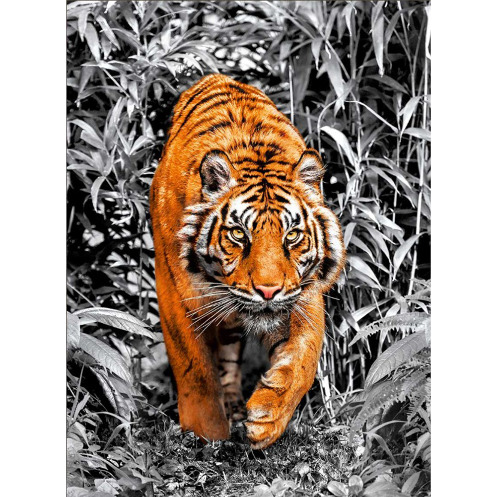

40*50CM - Round Drill Diamond Painting - Jungle Tiger, 501 Original