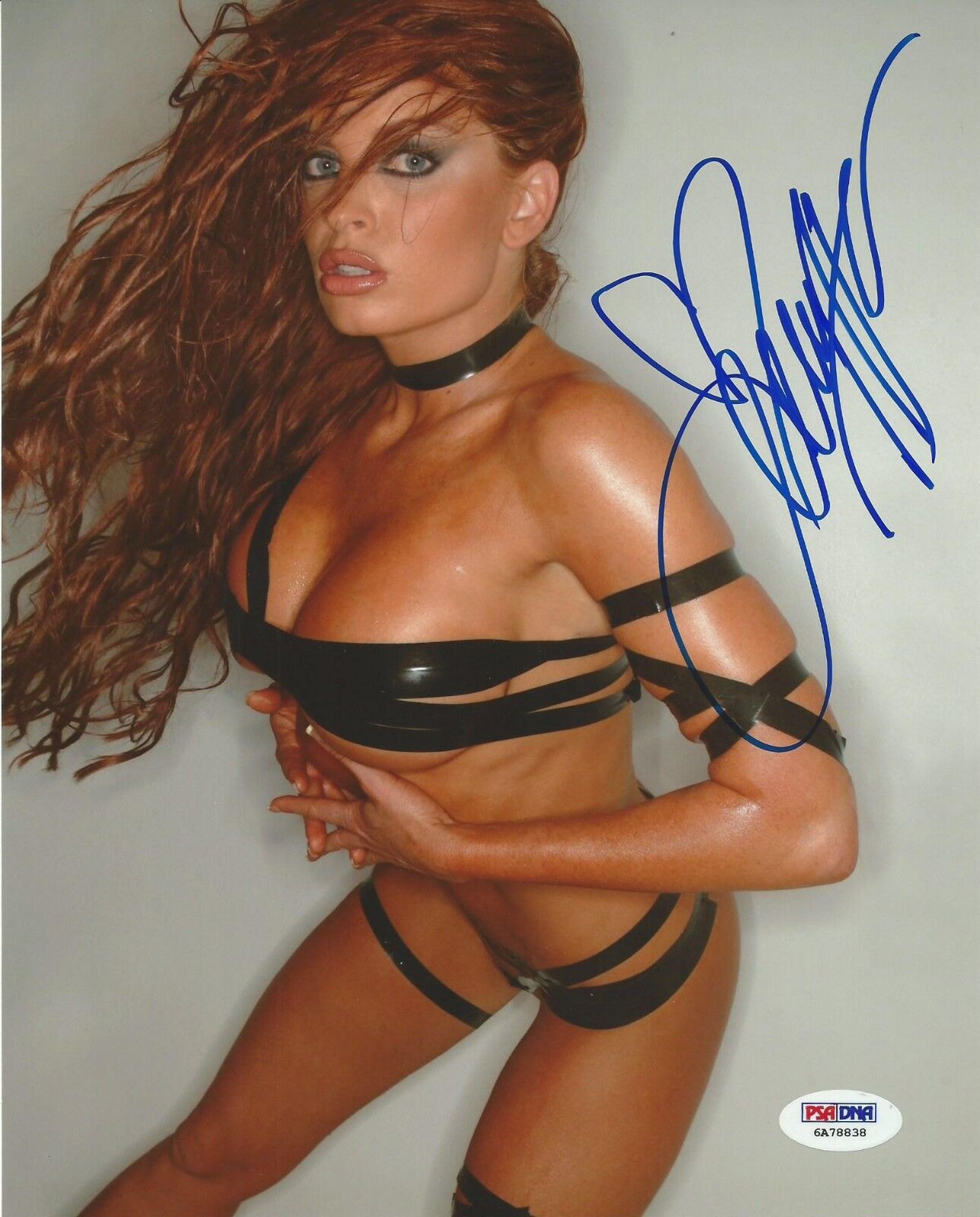 Christy Hemme Signed 8x10 Photo Poster painting PSA/DNA COA WWE Diva TNA Impact Wrestling Auto'd