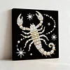 Scorpion DIY Pearl Art Diamond Painting Kit for Adult Home Decor 25x25cm With Frame