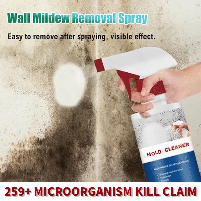 Mildew Cleaner Foam