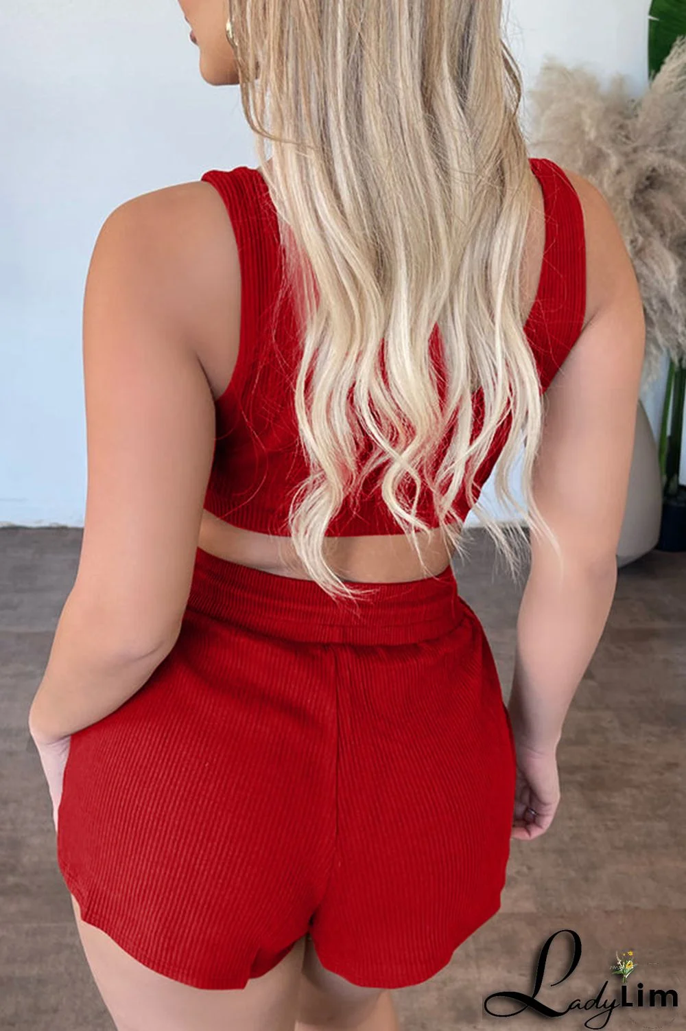 Red Sexy Casual Solid Basic U Neck Sleeveless Two Pieces