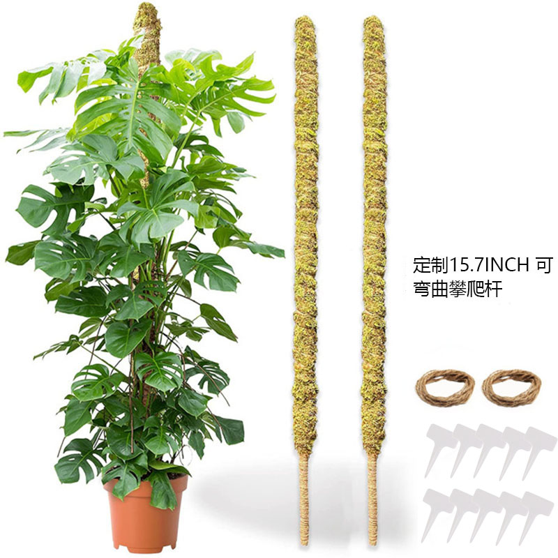 

Moss Pole - 15.7 inch Natural Plant Support for Climbing Plants (2 Pack), 501 Original